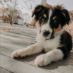 Meet your Posher, Natalie